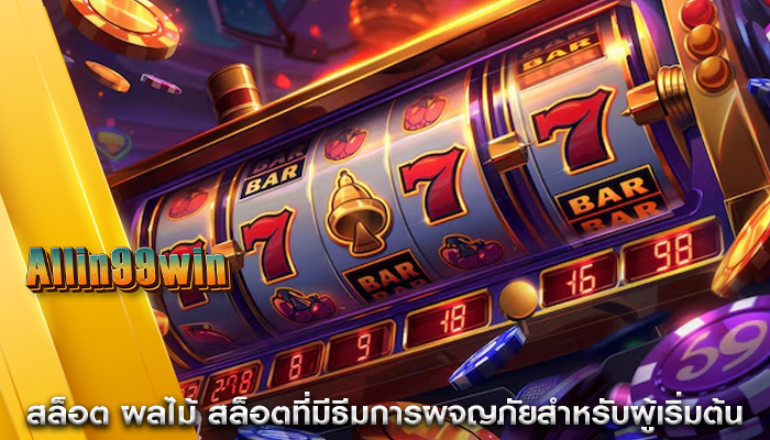 สล็อต ผลไม้ สล็อตที่มีธีมการผจญภัยสำหรับผู้เริ่มต้น