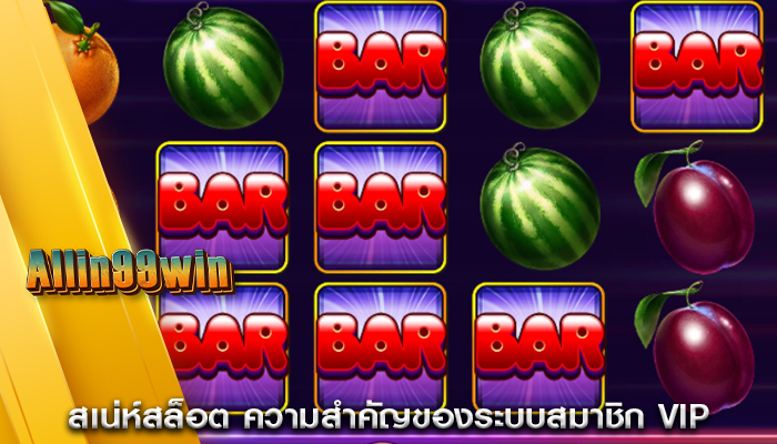 สเน่ห์สล็อต ความสำคัญของระบบสมาชิก VIP